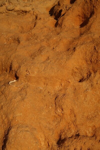 Felsen Algarve