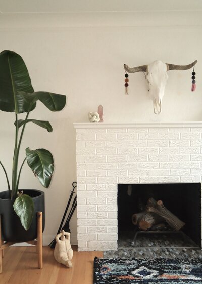 Living room with bull skull and plant