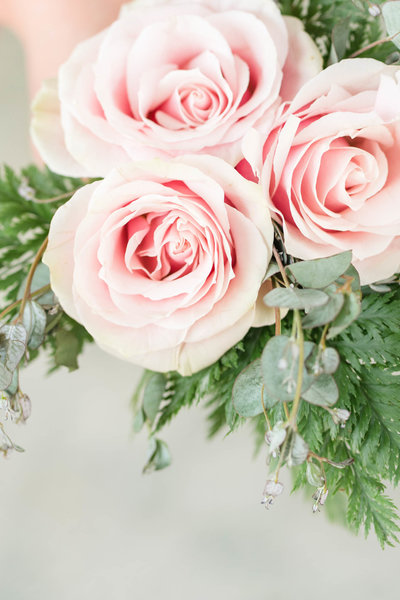 Pink Roses with greenery