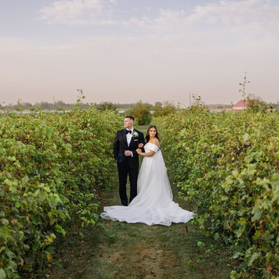 Ashery Lane Farm Minnesota Wedding