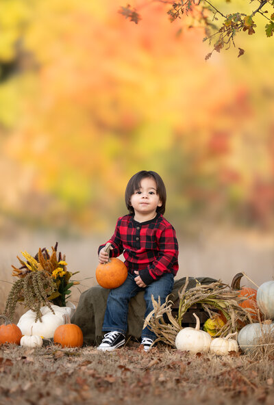 photo of toddler holding pumpkin during a fall mini session in galt ca