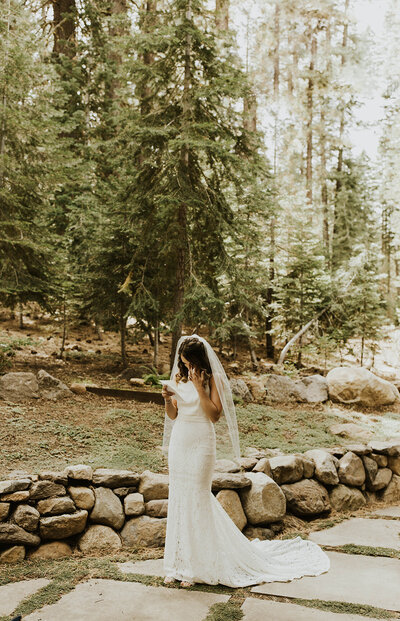 Wedding-in-Hope-Valley-California---Lake-Tahoe-Wedding-...