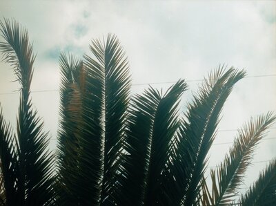 DTS_Daze_9