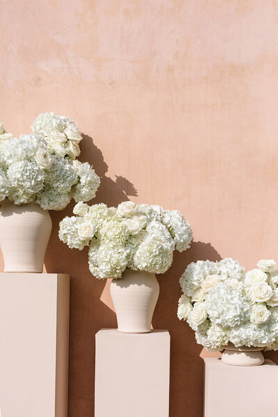 white hydrangea at neuendorf house