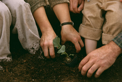 Philadelphia brand photographer capturing hands planting seedling