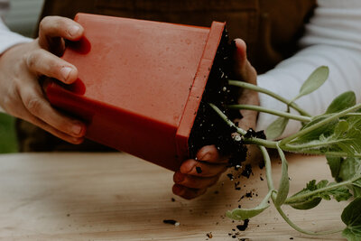 laramie-and-morgan-gardening-session004-12