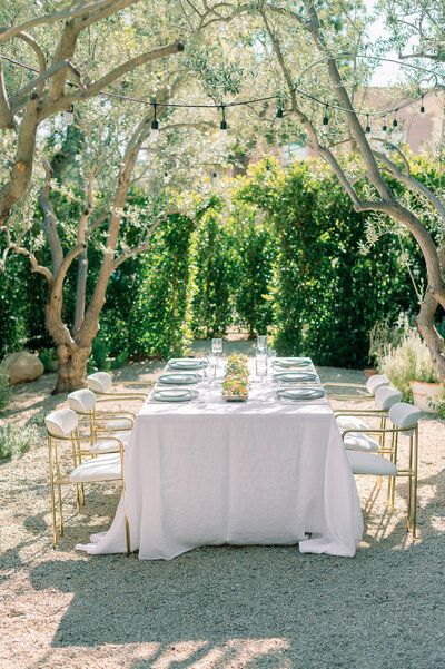 Wedding reception tables placed underneath sweeping trees