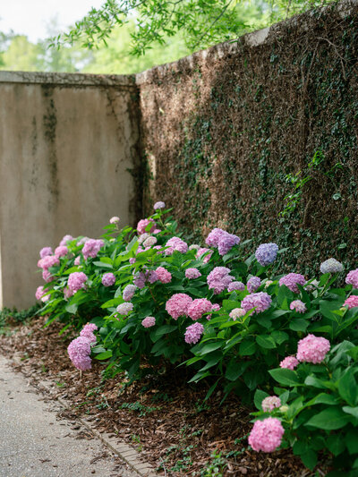 A mother in a white dress walking along the 30A shore in the turquoise ocean water with her blond, curly haired daughter in a light blue dress.