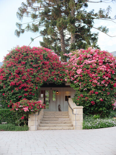 San Ysidro Ranch Wedding Montecito California Wedding, East coast documentary-style wedding photographer for the untraditional by Lindsey Whatley Photo
