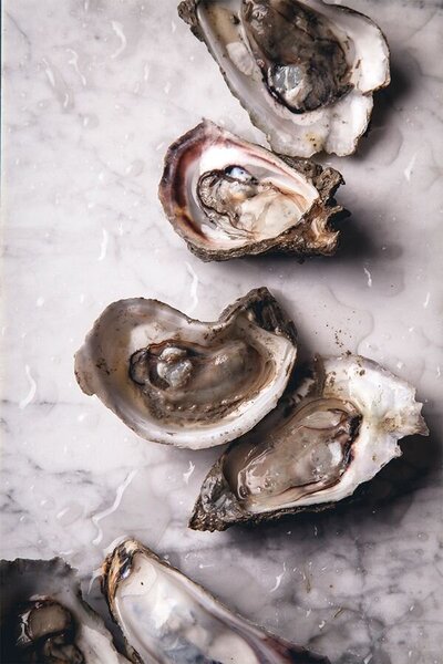 Oyster´s & Co_