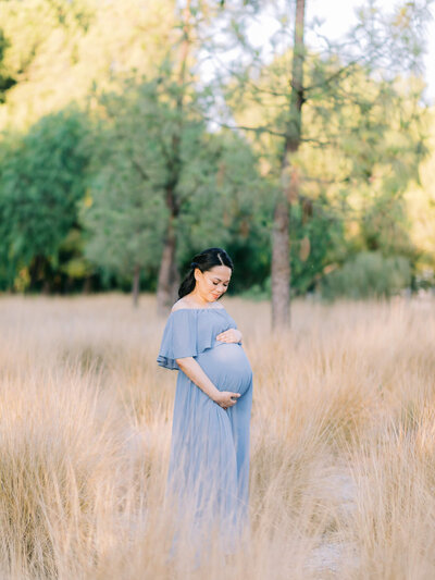 gallery photos of maternity photographer in orange county