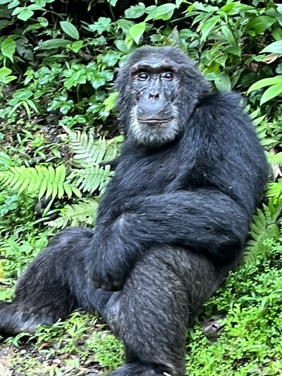 uganda 3