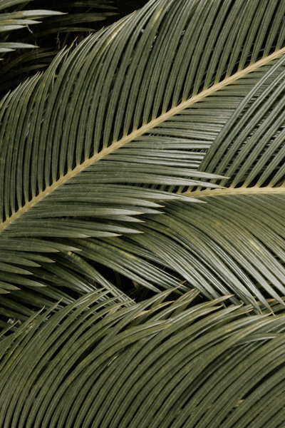 Magdalena Studios Stock Photos 8