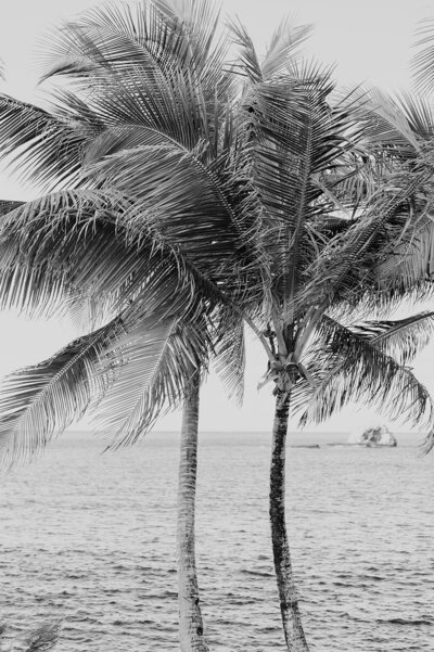 Destination Wedding Photographer