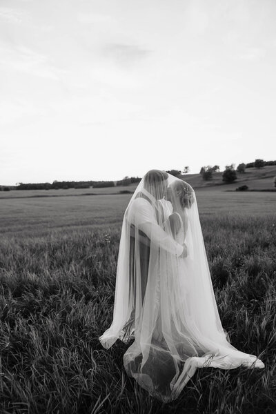 Groom and bride kissing beneath her veil in the plains of MN