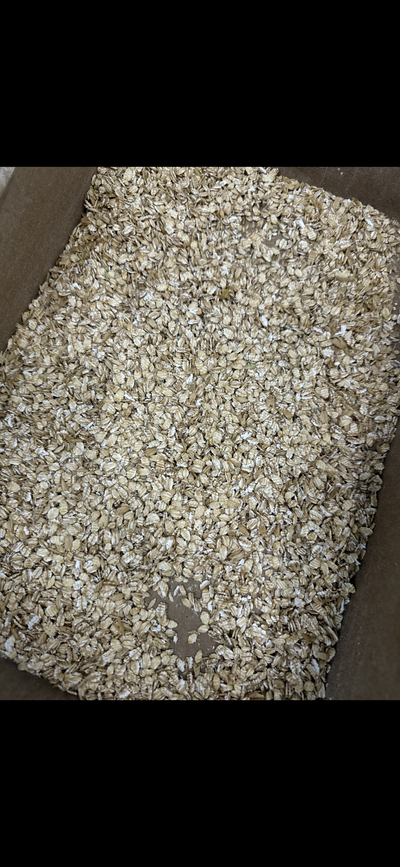 Flaked wheat for breweries, distilleries and bakeries.