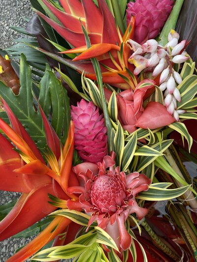 Tropical flower arrangements