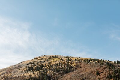 park city landscape