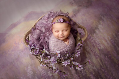 newborn baby girl posed on a vender backdrop wit set up and lavender backdrop