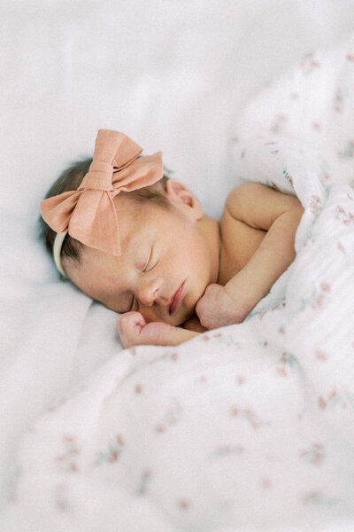 Paige Lorin Photography