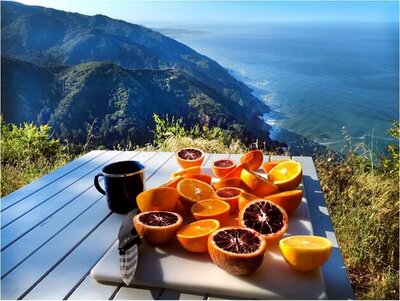 A beautifully set breakfast table overlooking the Pacific Ocean, part of a luxury coastal journey featuring private beachside picnics and hidden coastal retreats