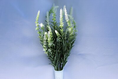 White Lavender
