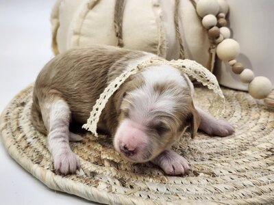 1bf6b4ae-5908-4111-a49d-913d2c6a556d