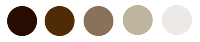 Color palette designed for Raw Beauty Bar, featuring soft, earthy tones that reflect the brand’s focus on natural beauty and wellness.