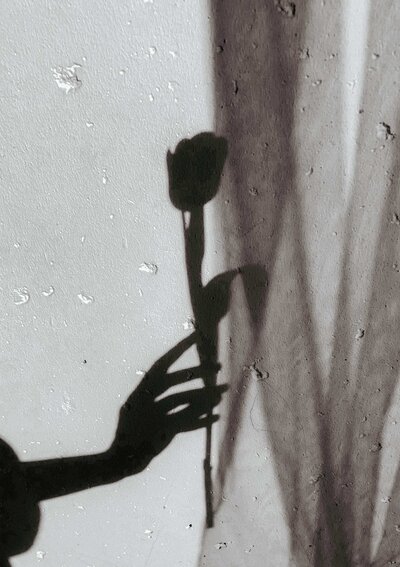 A shadow of a hand holding a single flower against a textured wall, reminiscent of the careful craftsmanship seen in custom Showit website design. The light source creates a distinct silhouette of the hand and flower, enhancing the contrast between the shapes and the surface, much like expertly done Showit template customization.