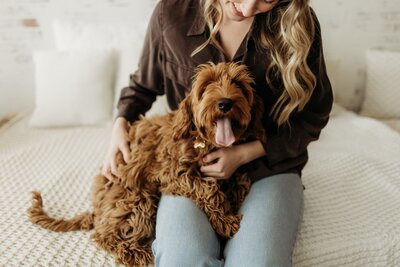 Apricot Australian Labradoodle Poppy