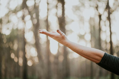 Open hand outstretched with blured trees in background
