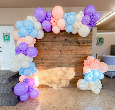 balloons-bismarck-nd-107