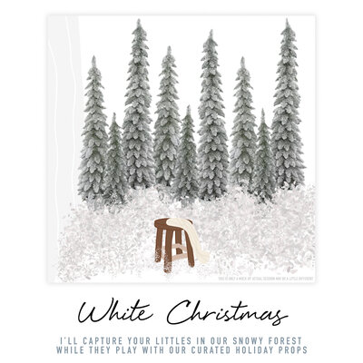 The photograph depicts a studio Christmas tree setup for a Christmas mini session by Bri Sullivan Photography. The studio features 8 small or medium-sized Christmas trees adorned with white snow. Additionally, a small stool is provided for the sitter's convenience. The setup creates a festive and visually appealing atmosphere for capturing holiday memories.