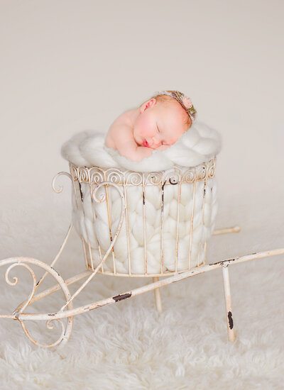 suttons bay newborn photographer