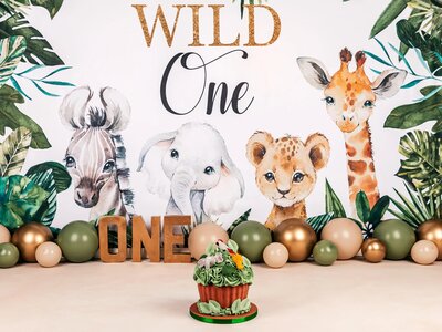 Cakesmash decor wild one