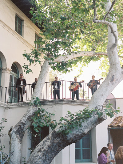 scripps-college-claremont-wedding-planner55