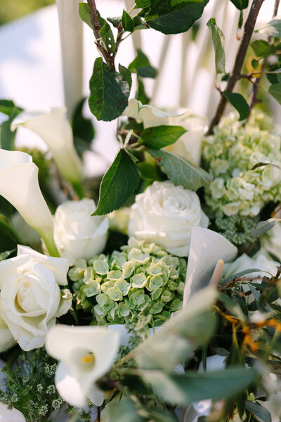Close up of wedding rings and vow books