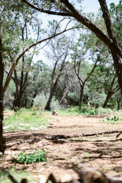 Messina Inn Walking Trail-22