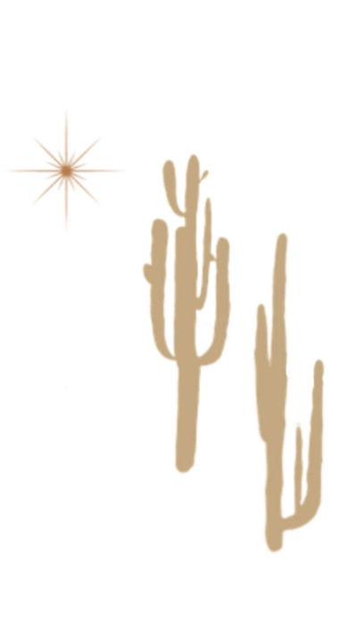 Cactus and star