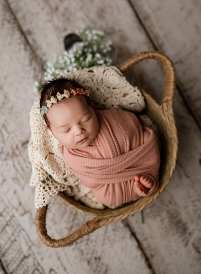 Colorado Springs Newborn Photographer poses baby in basket