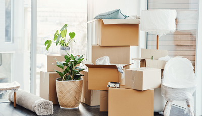 Edmonton home with packing boxes and plants needing affordable move-in or move-out cleaning services