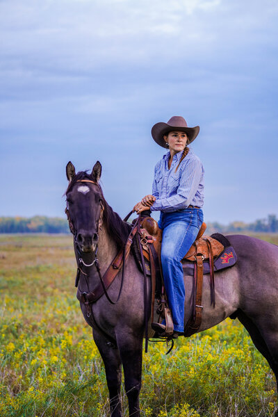 Horse sale picture photography