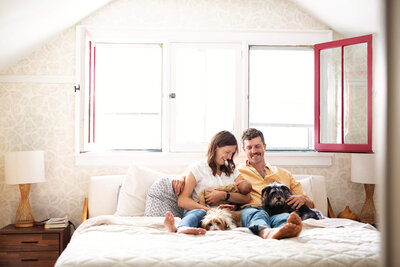Family with their dogs sit on bed during  a newborn session in the Twin Cities