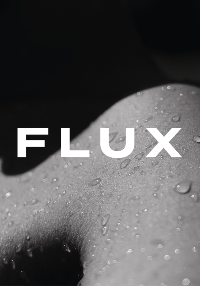 BB_Portfolio_Flux-1