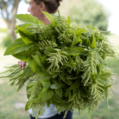 Amaranthus is one of our Carmel wedding clients' favorite blooms