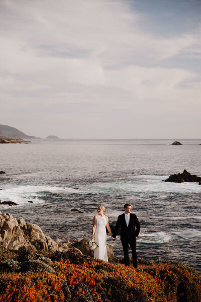 Bride and groom hold hands look in opposite direction. Ocean in the back and red orange grass on cliffs