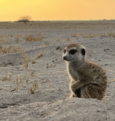 botswana country 3