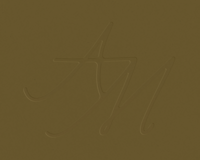 websiteportfolio_allisonmetzger-05