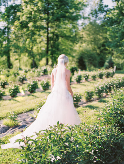 Bride walks through Peony Farm on her Wedding Day