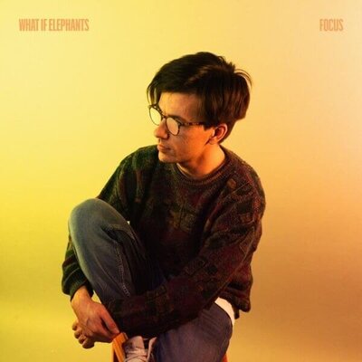 Single cover for Focus by What If Elephants